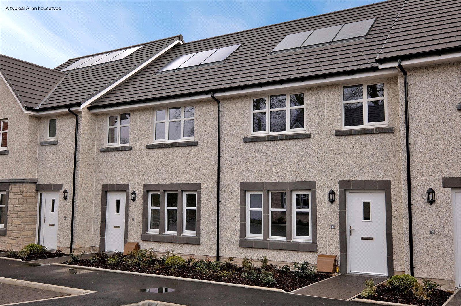 The Allan - Plot 245