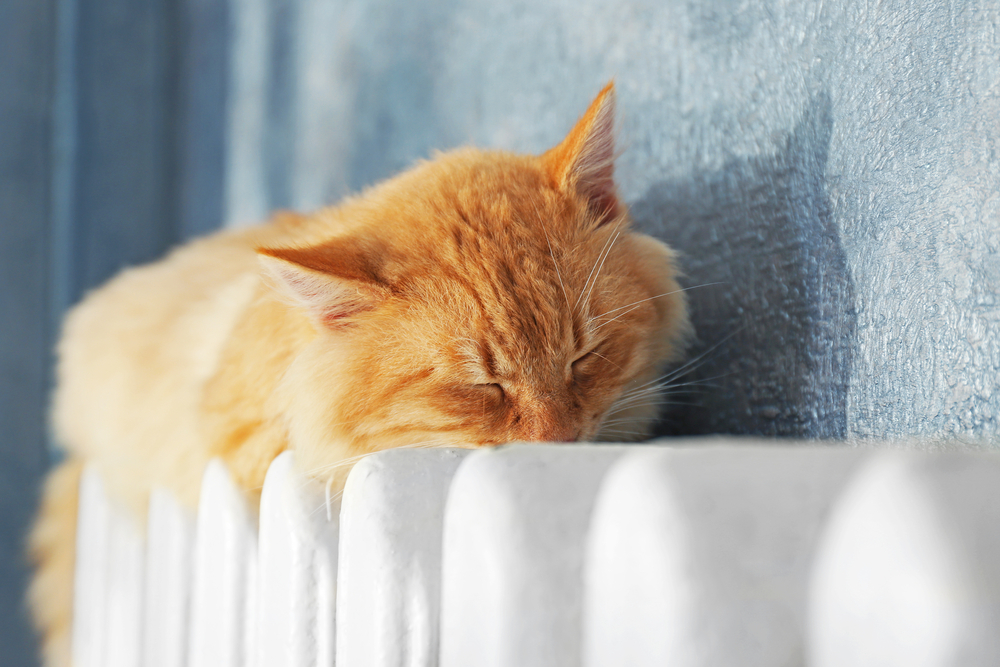 The top 15 things househunters really want...