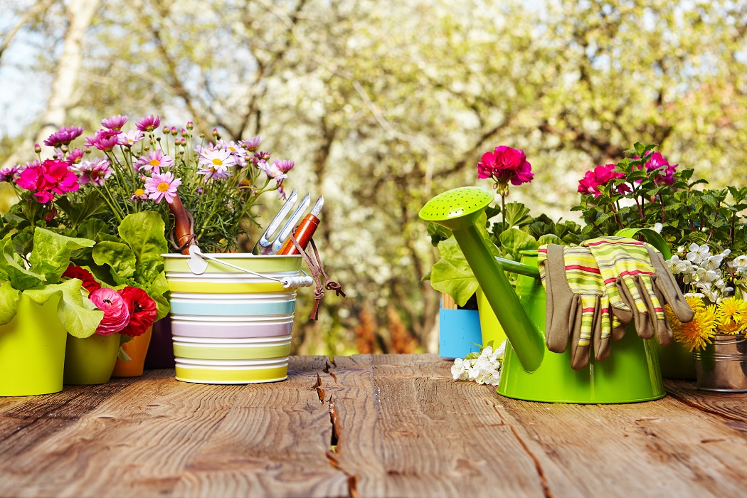 How your garden can help you sell your home...