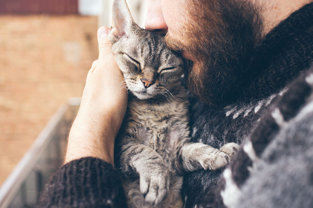 Britons 'three times more likely' to insure their pet than themselves