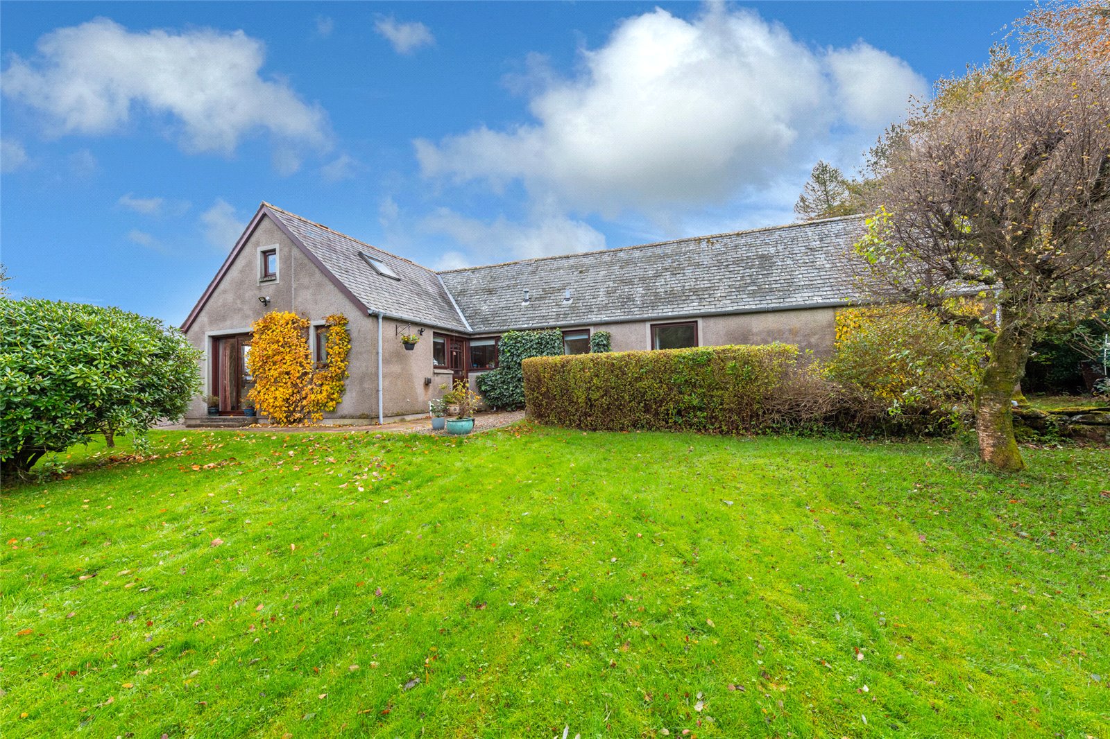 Our latest properties for sale or rent (6th Feb 2024) 