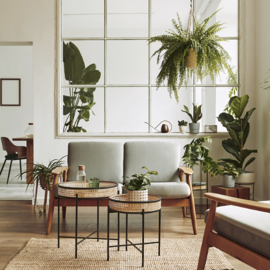 Transforming your rental property – making your space feel like home!
