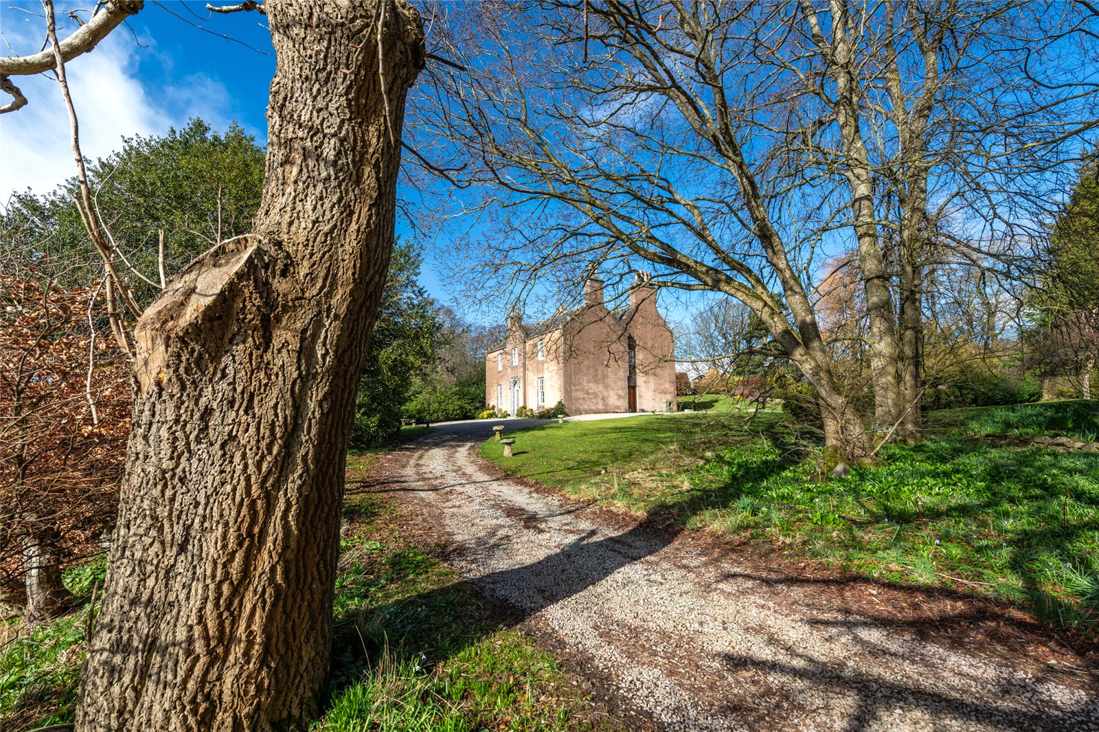Our latest properties for sale or rent (4th of April)