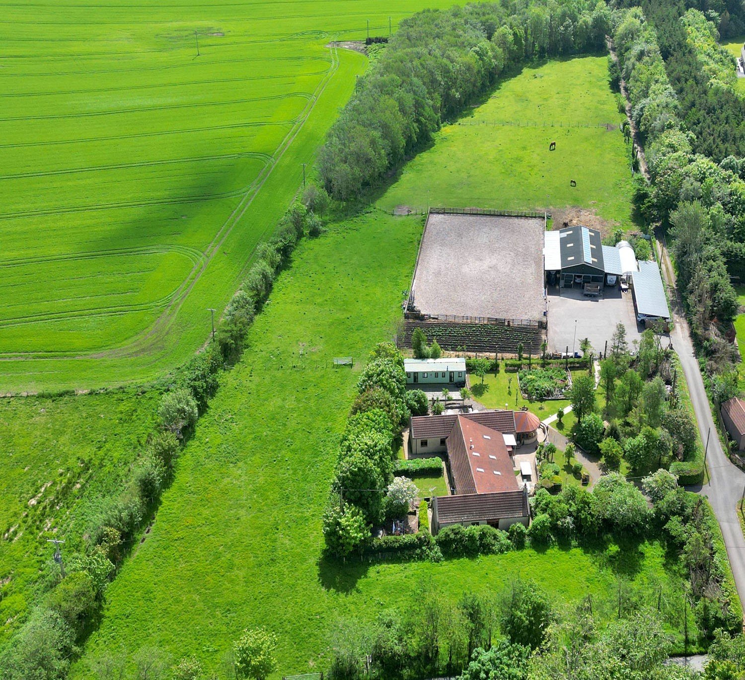 Our latest properties for sale or rent (3rd of June 2024) 