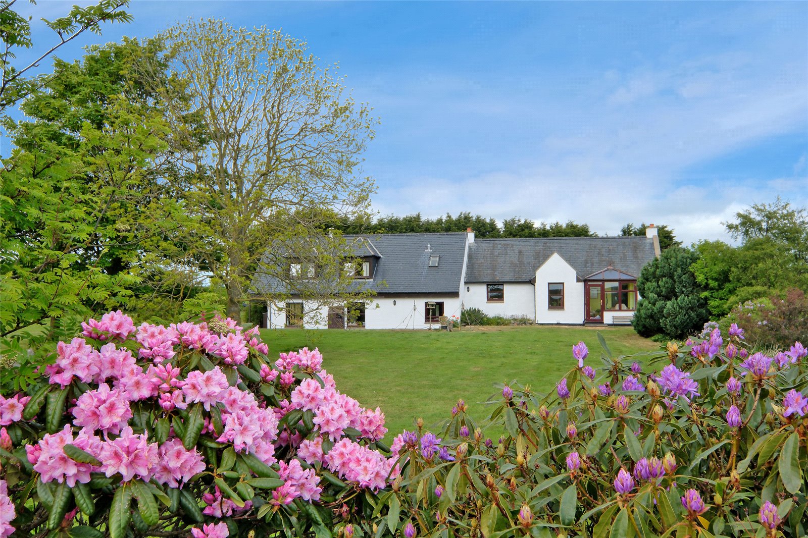 Ellon